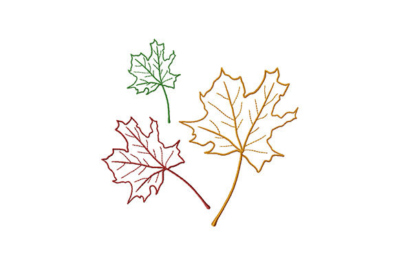 Three Colored Maple Leaves